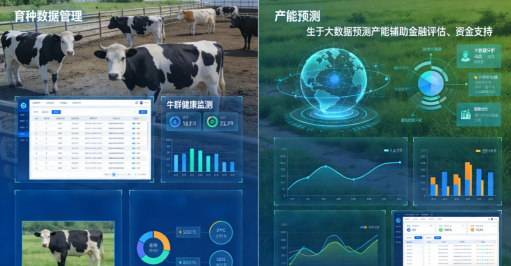 數(shù)智賦能+金融活水，云輝牧聯(lián)為畜牧種業(yè)振興注入新動(dòng)能